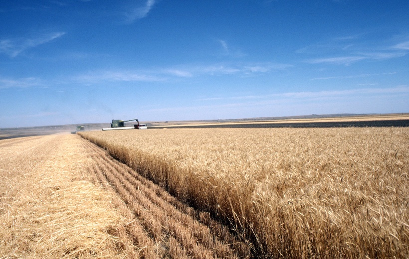 Longer growing seasons will not offset the global drop in crop yields